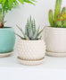 Bumpy Pot