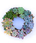 Circle Wreath