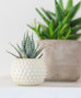 Bumpy Pot
