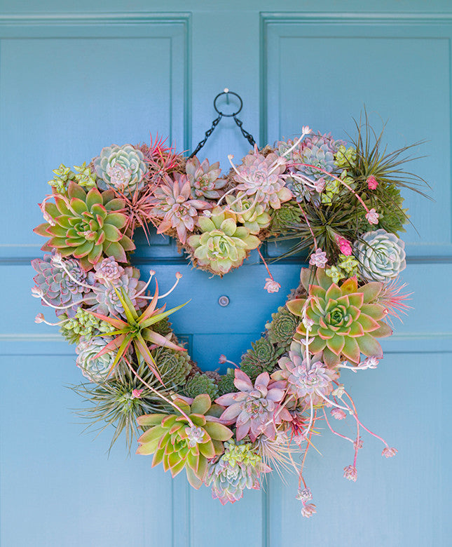 Succulent Heart Wreath - Dalla Vita