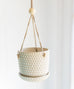 Bumpy Hanging Planter
