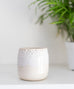 Pastel Planter