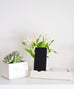 Ceramic Phone Charging Dock/Succulent Planter - Dalla Vita - 2