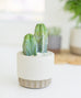 Small Flute Concrete Planter