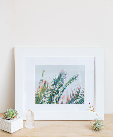 Wilder California Palm Print - Dalla Vita - 1